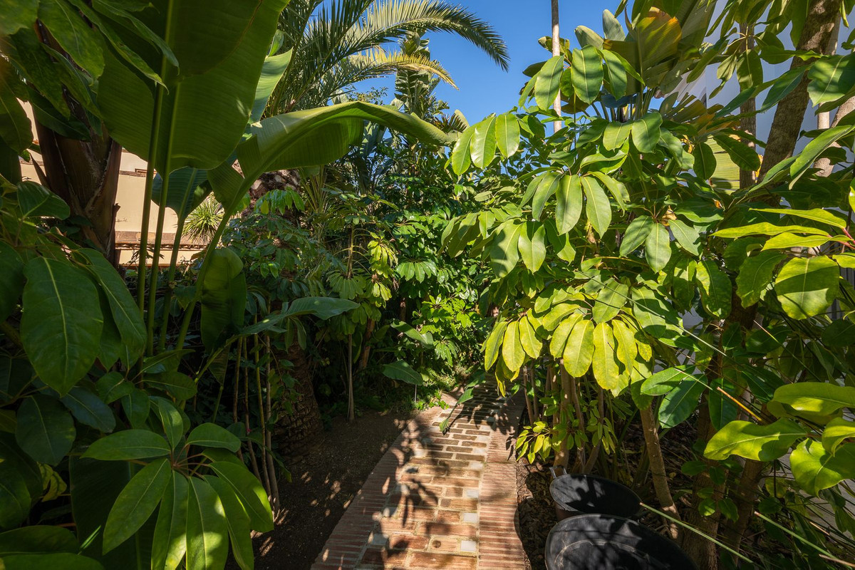 Property main view 11