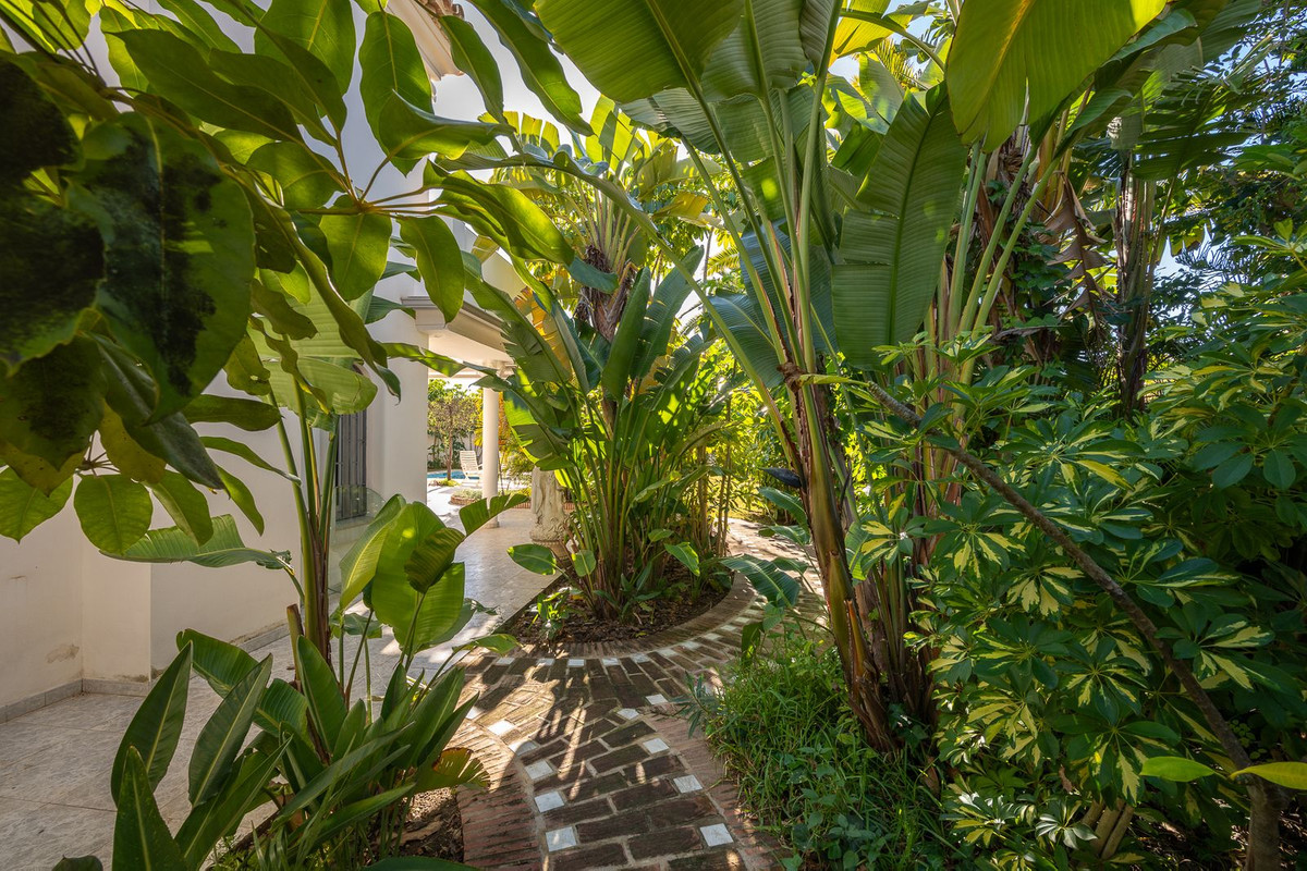 Property main view 23