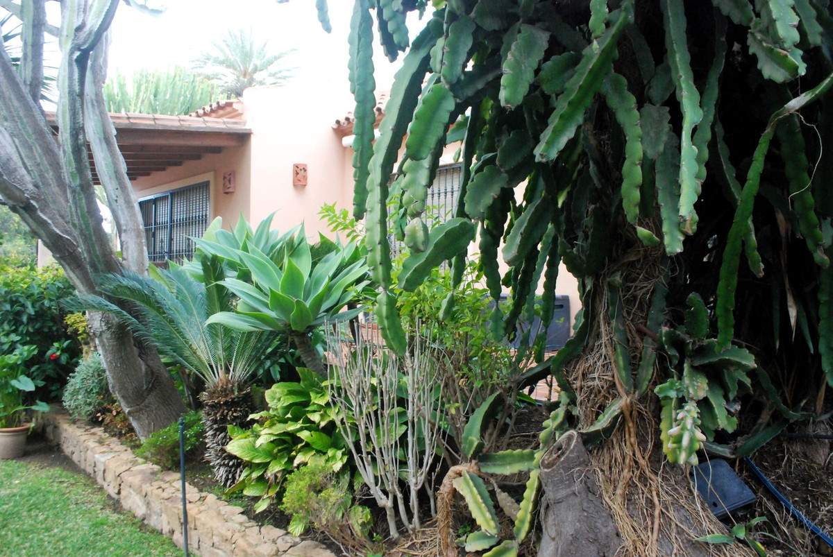 Huis te koop in Marbesa | 5 slaapkamers H5075311