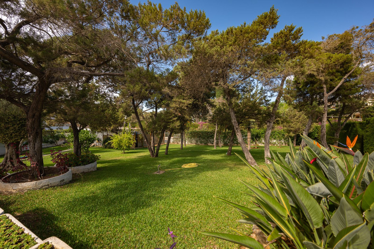 Property main view 17