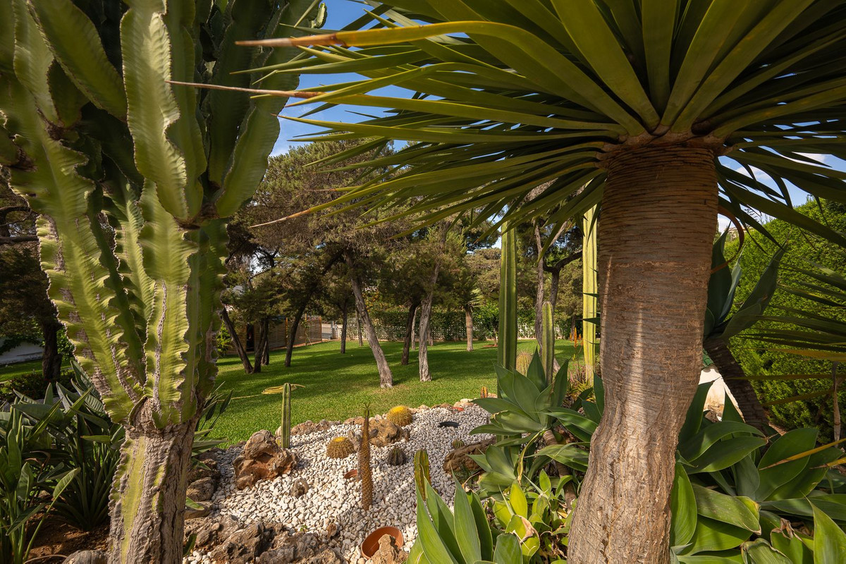 Property main view 18