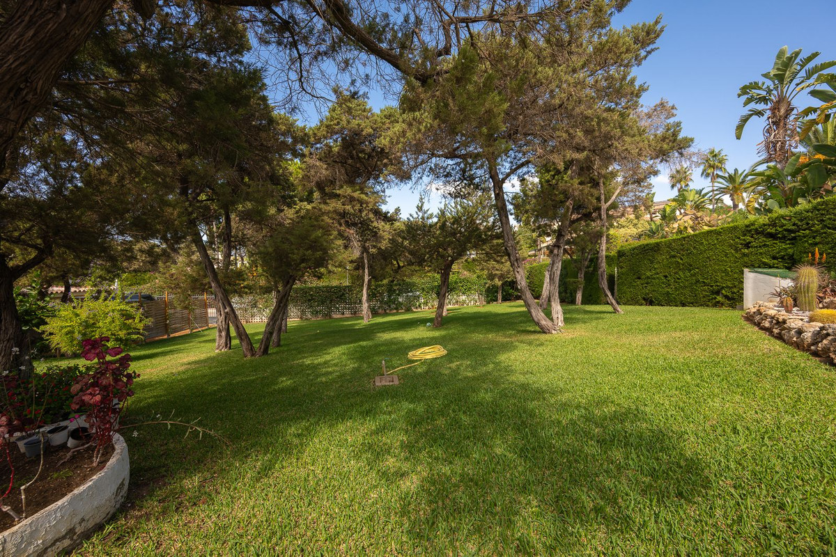 Property main view 19