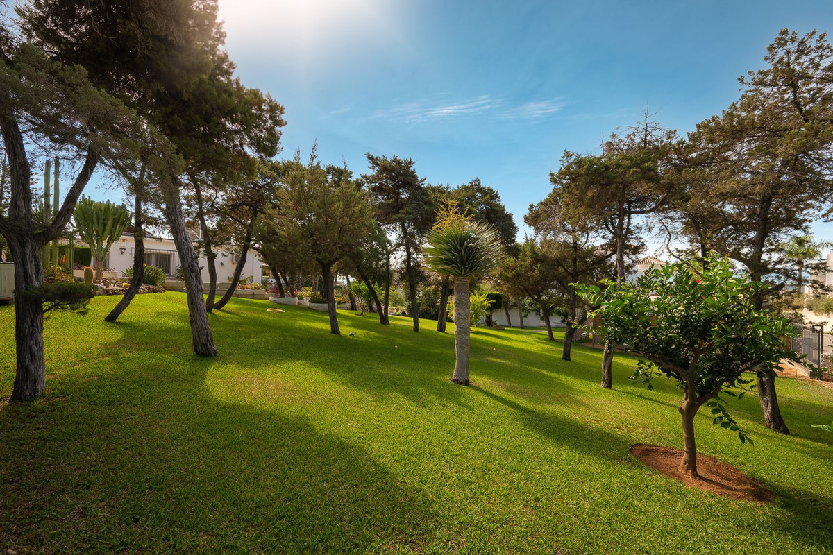 Property main view 31