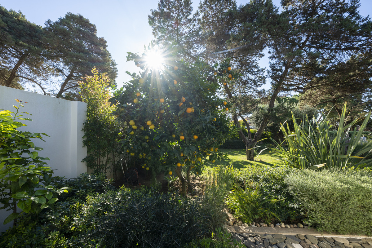 Property main view 14