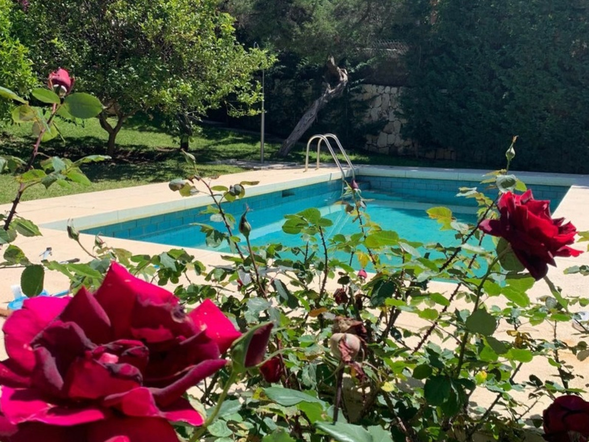 Property main view 11