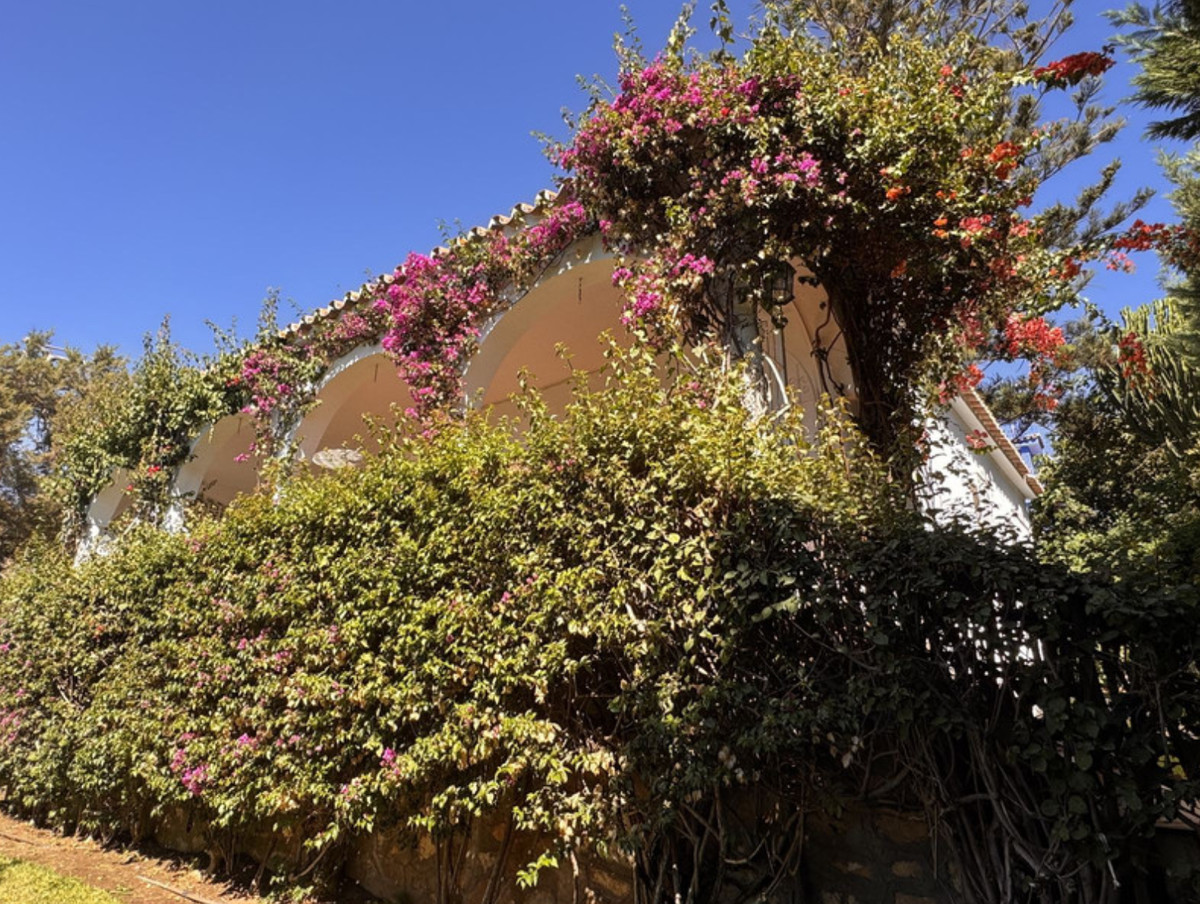 Property main view 9