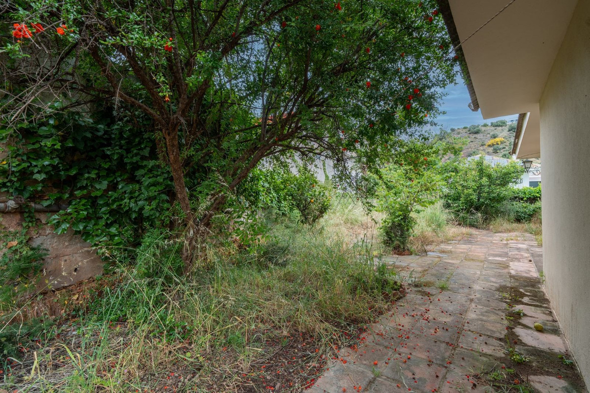 Property main view 39