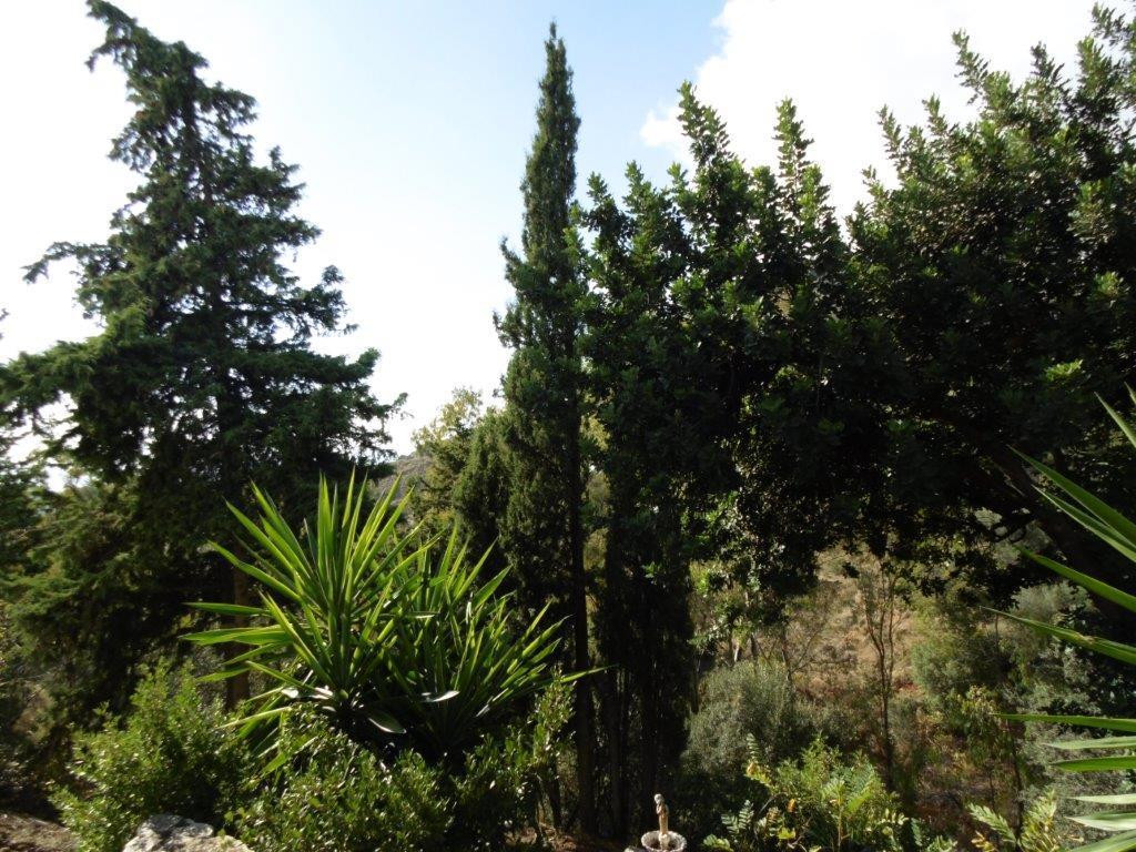 Property main view 13