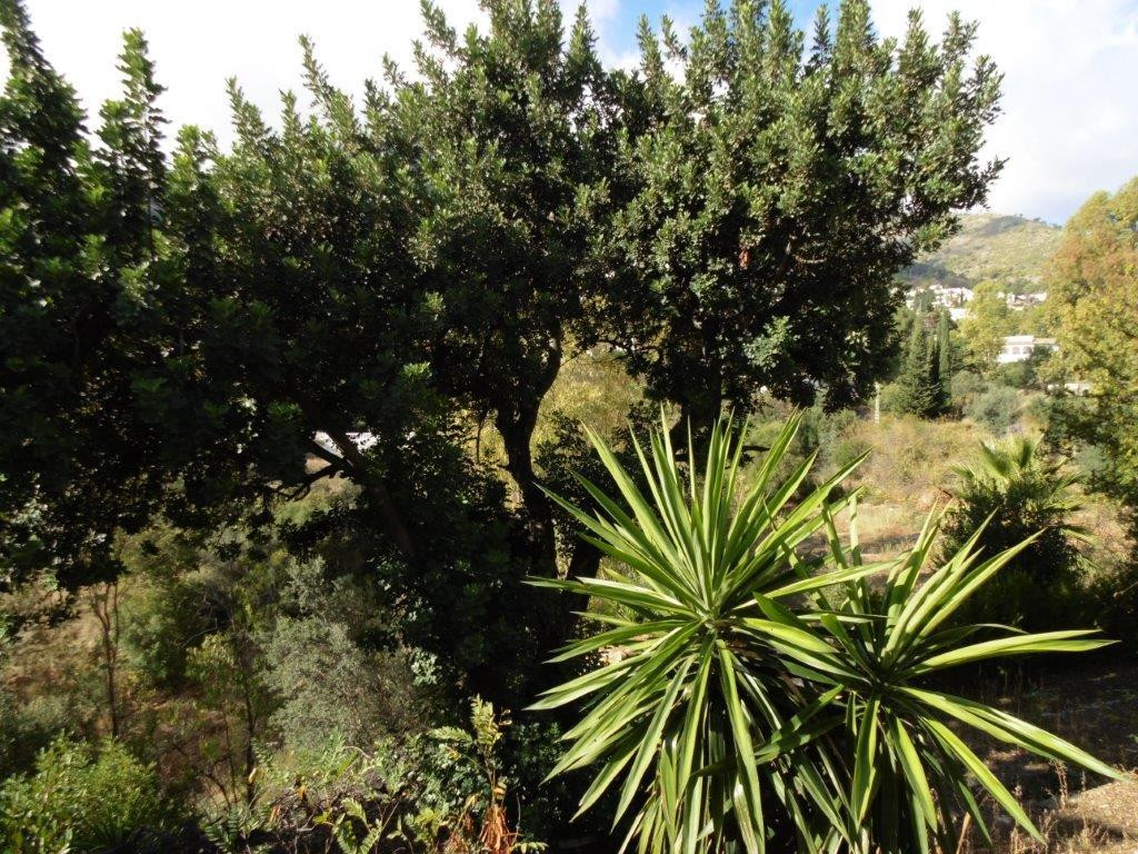 Property main view 16