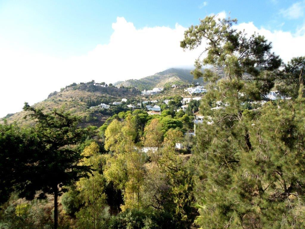 Property main view 36