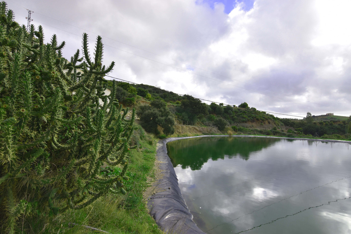 Property main view 5