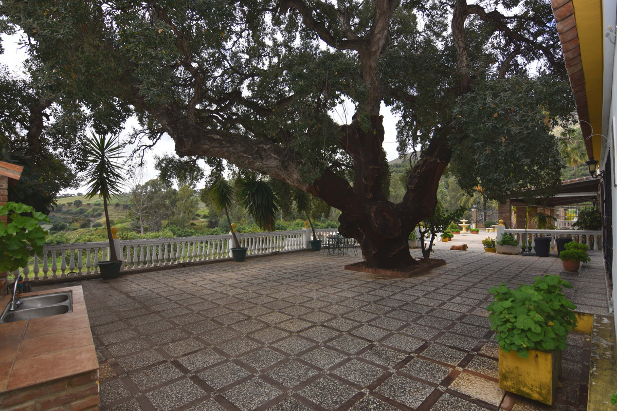 Property main view 7