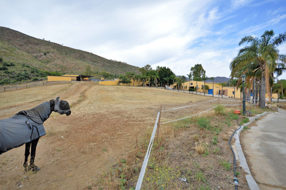 Property main view 32