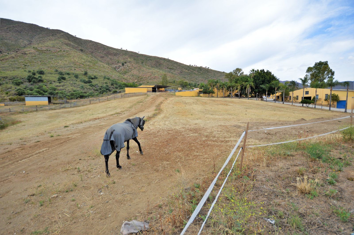 Property main view 35