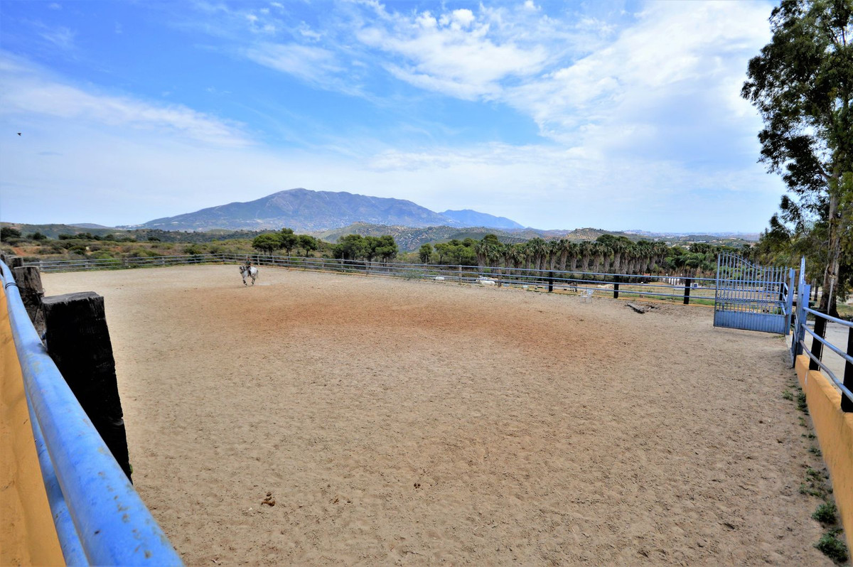 Property main view 39