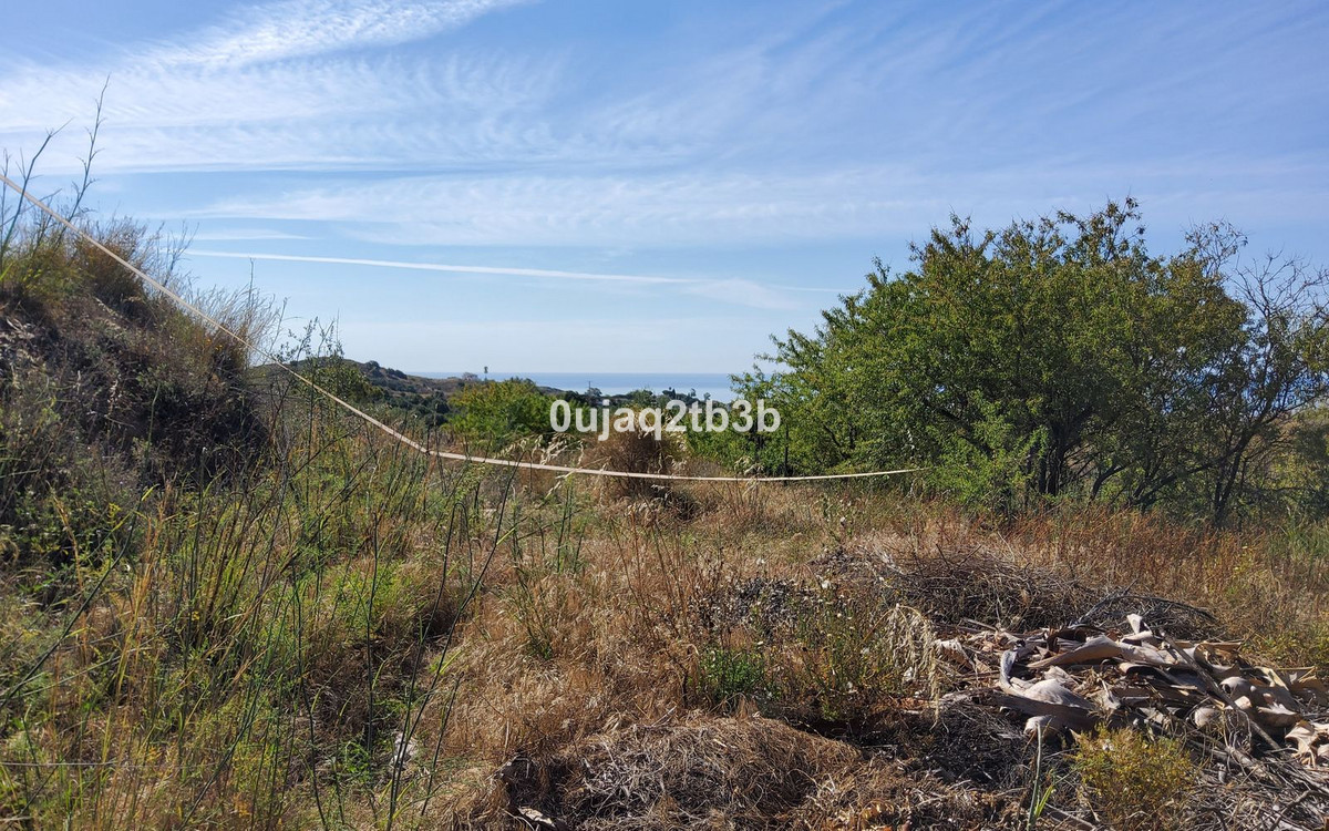 Property main view 15