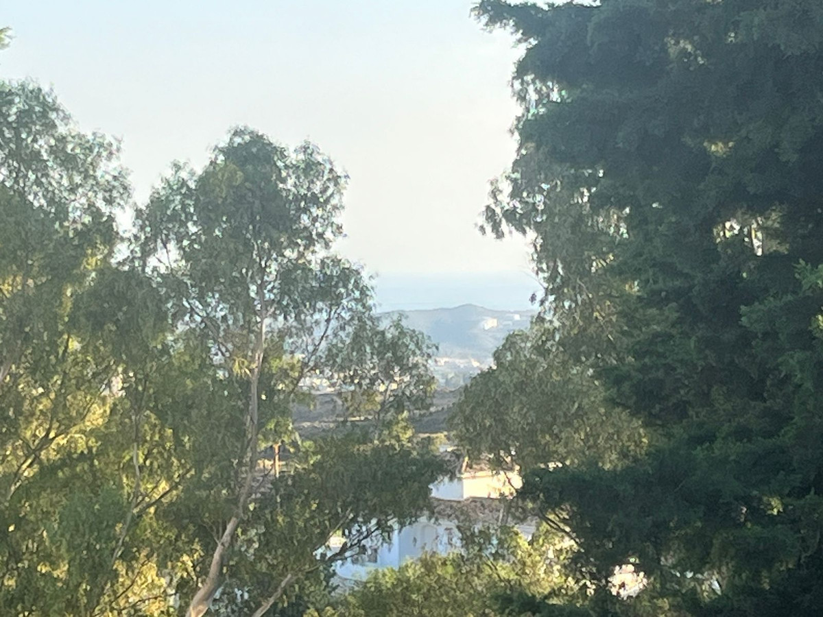 Property main view 41