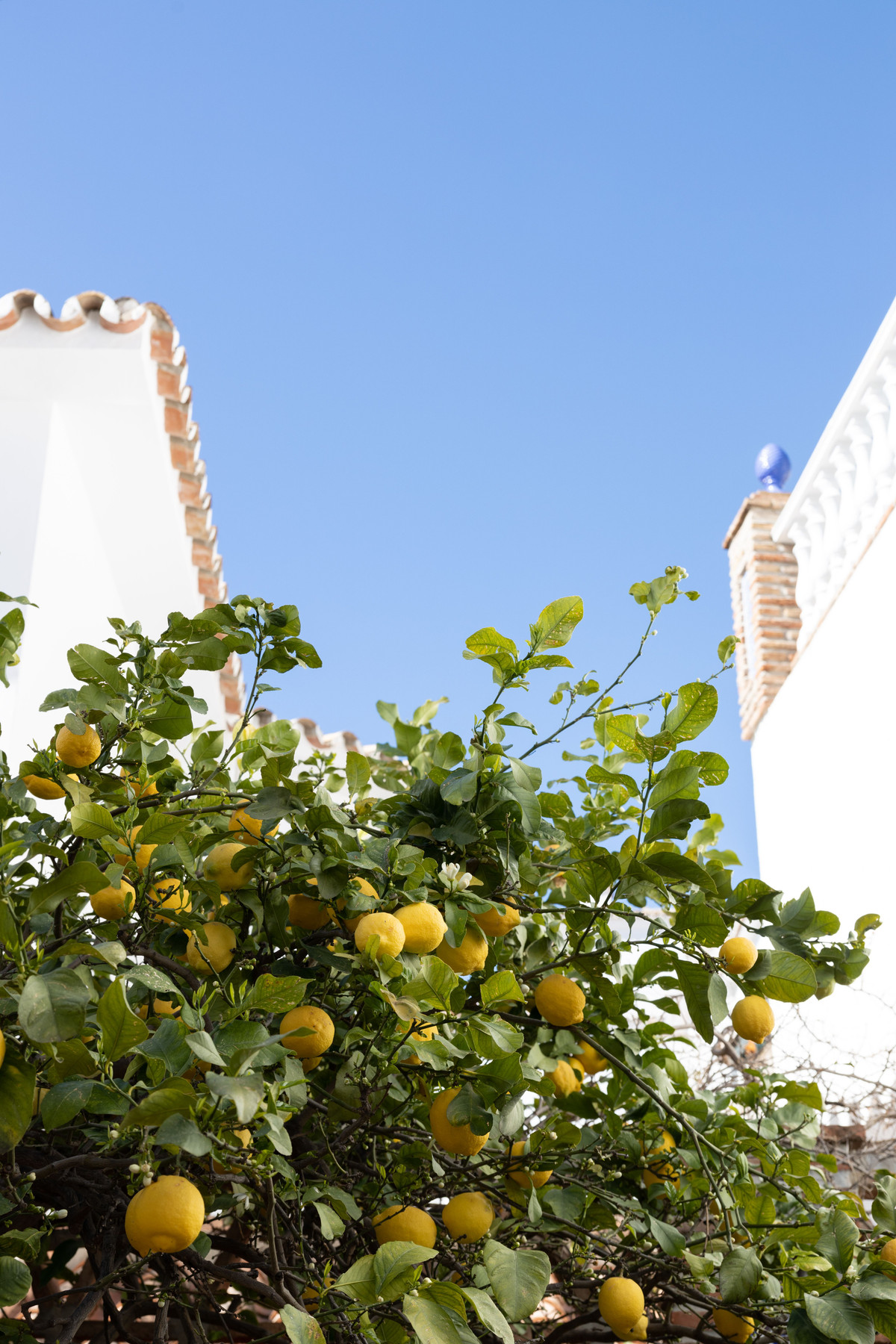 Vrijstaande Villa te koop in Mijas | 4 slaapkamers H4754470