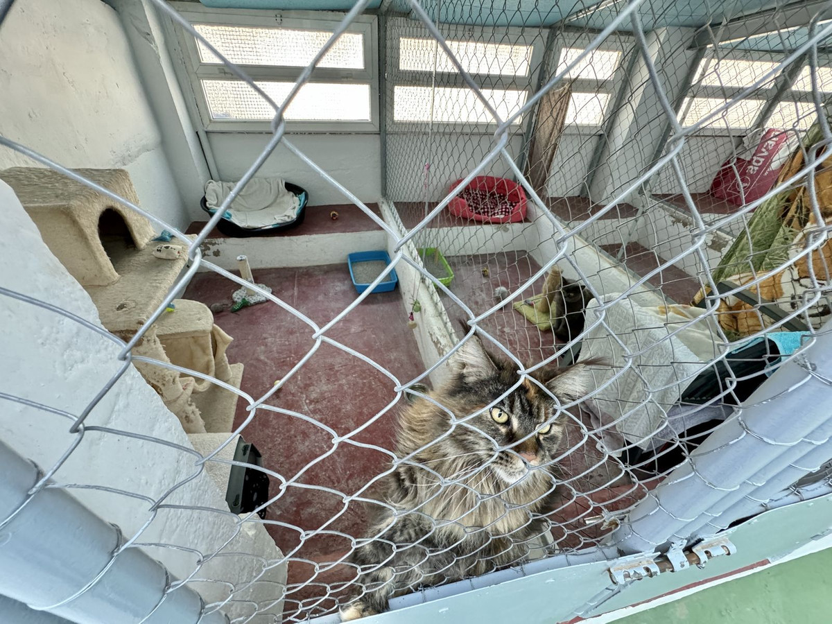 Property main view 27