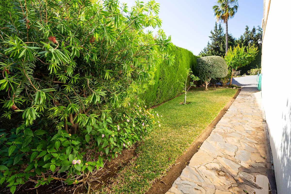 Property main view 49