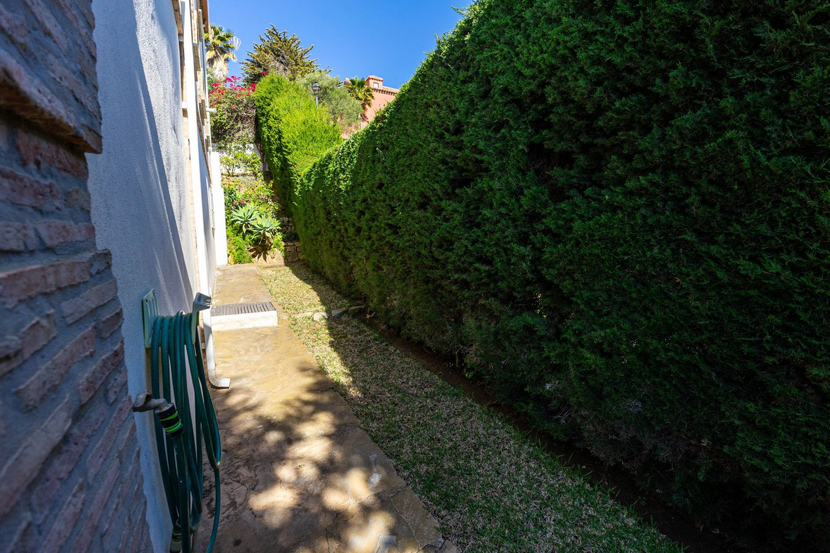 Property main view 50