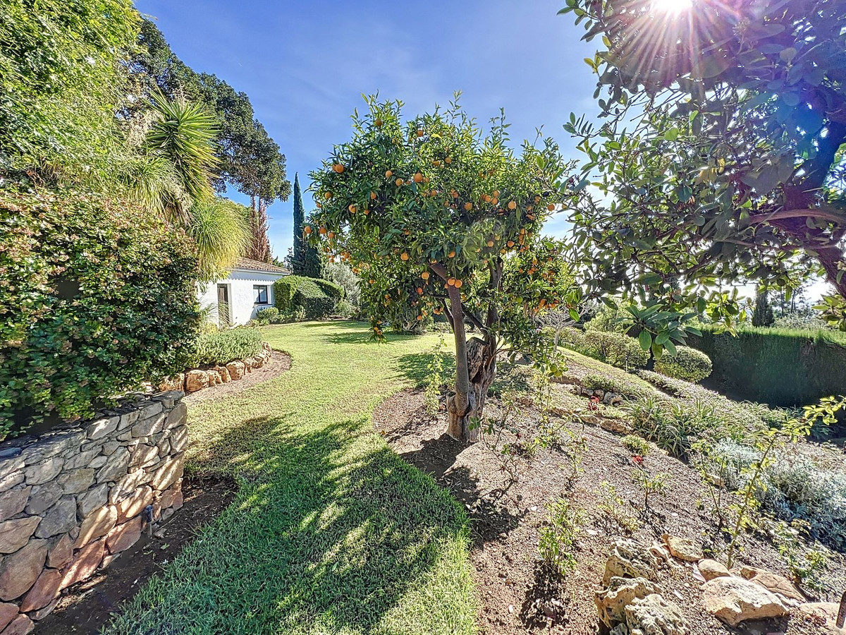 Property main view 45