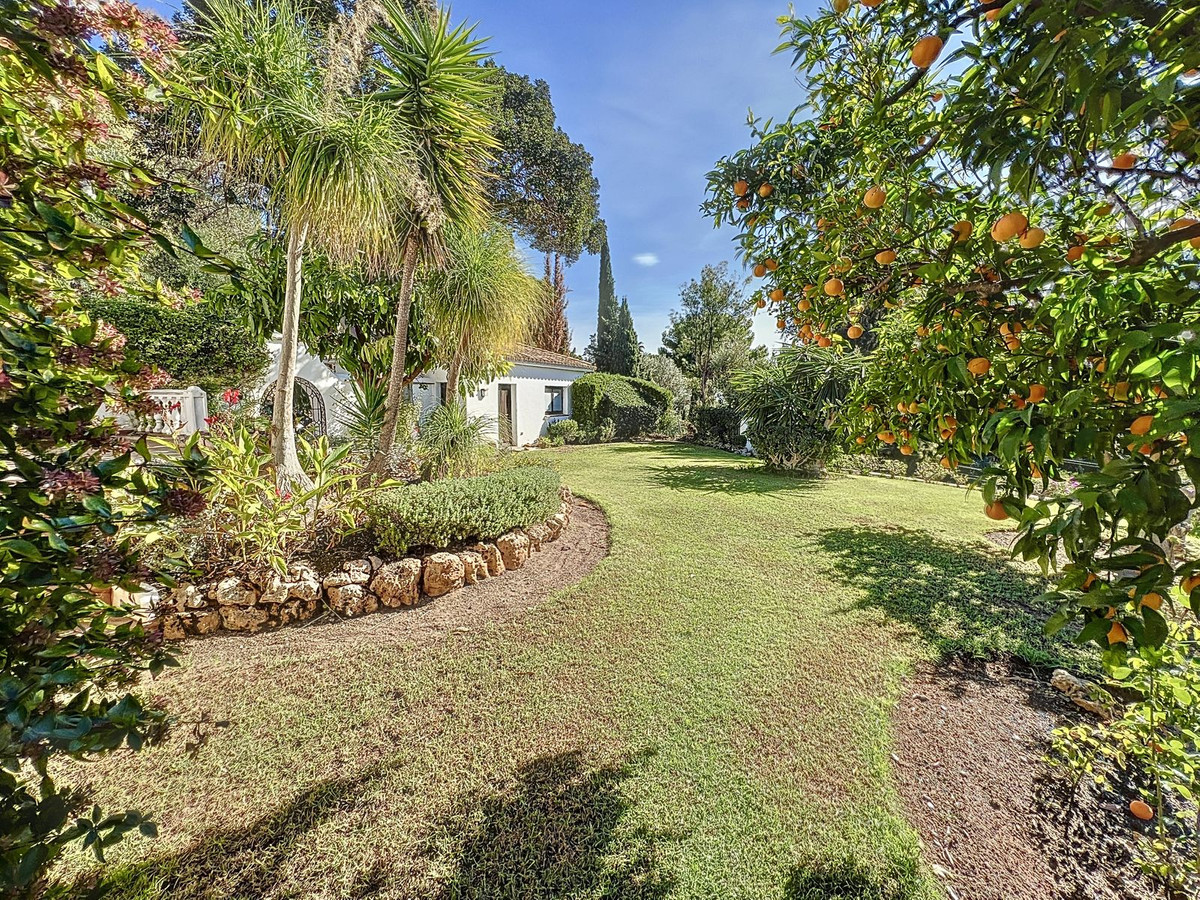 Property main view 46