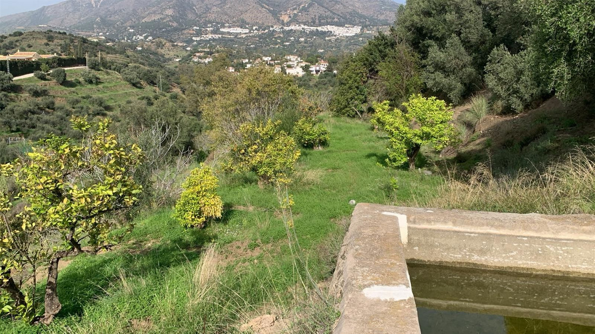 Property main view 15