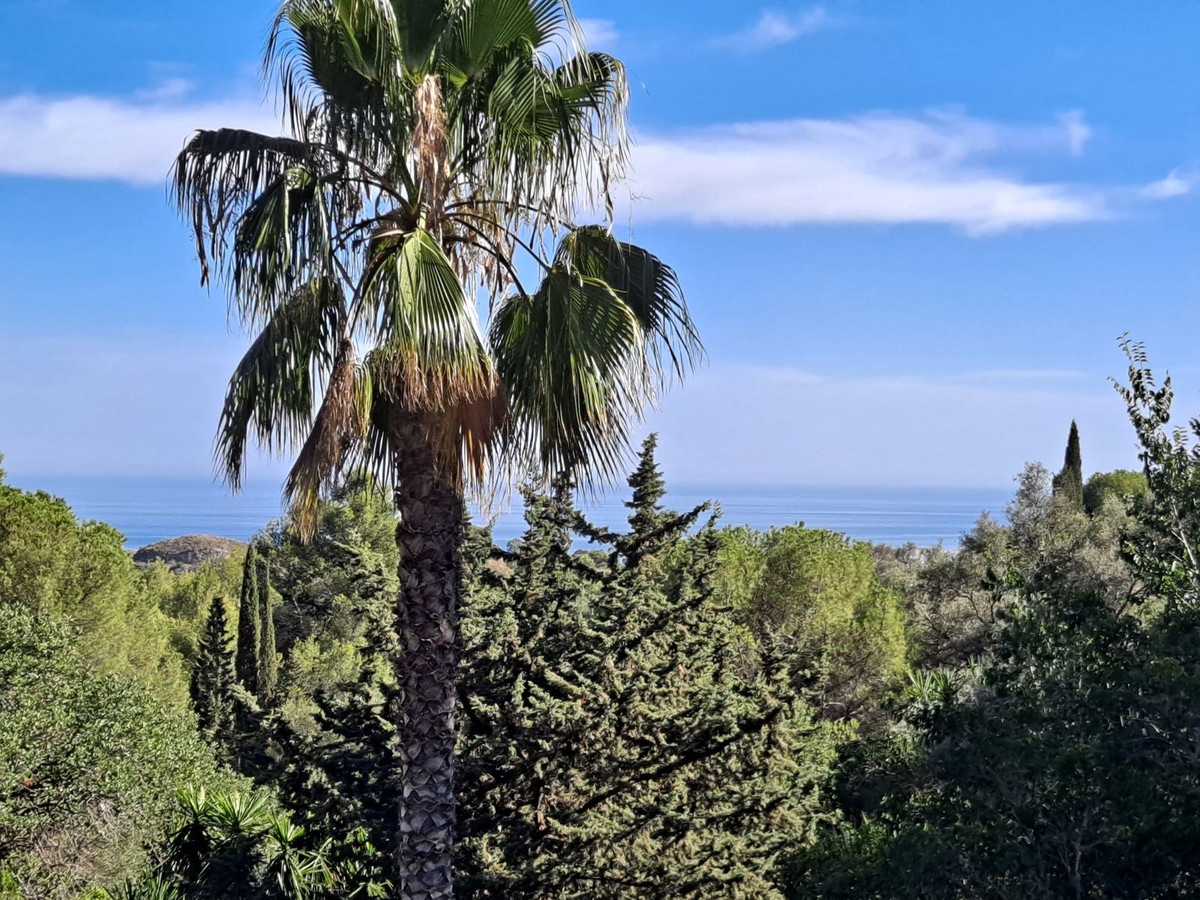 Property main view 15