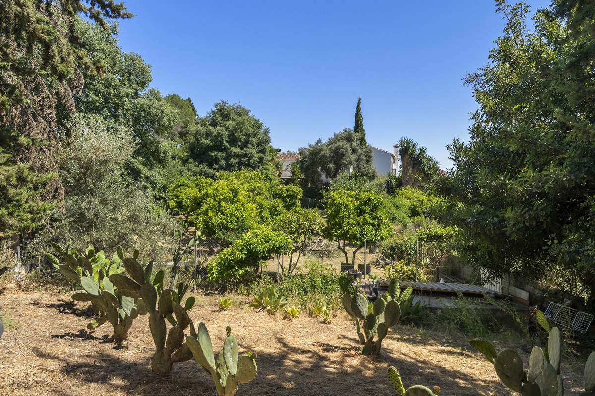 Property main view 48