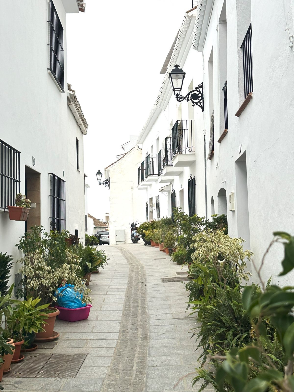 Property main view 19