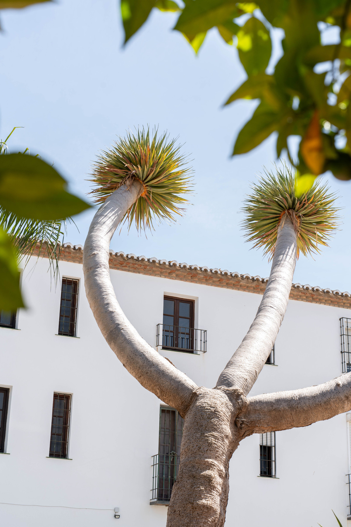 Huis te koop in Mijas Golf | 2 slaapkamers H5062999