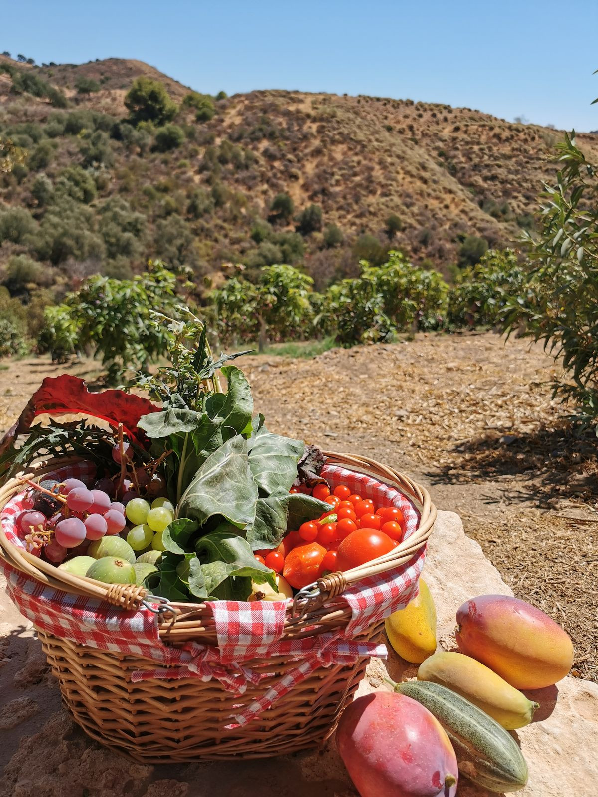 Finca - Cortijo te koop in Mijas | 3 slaapkamers H5149885