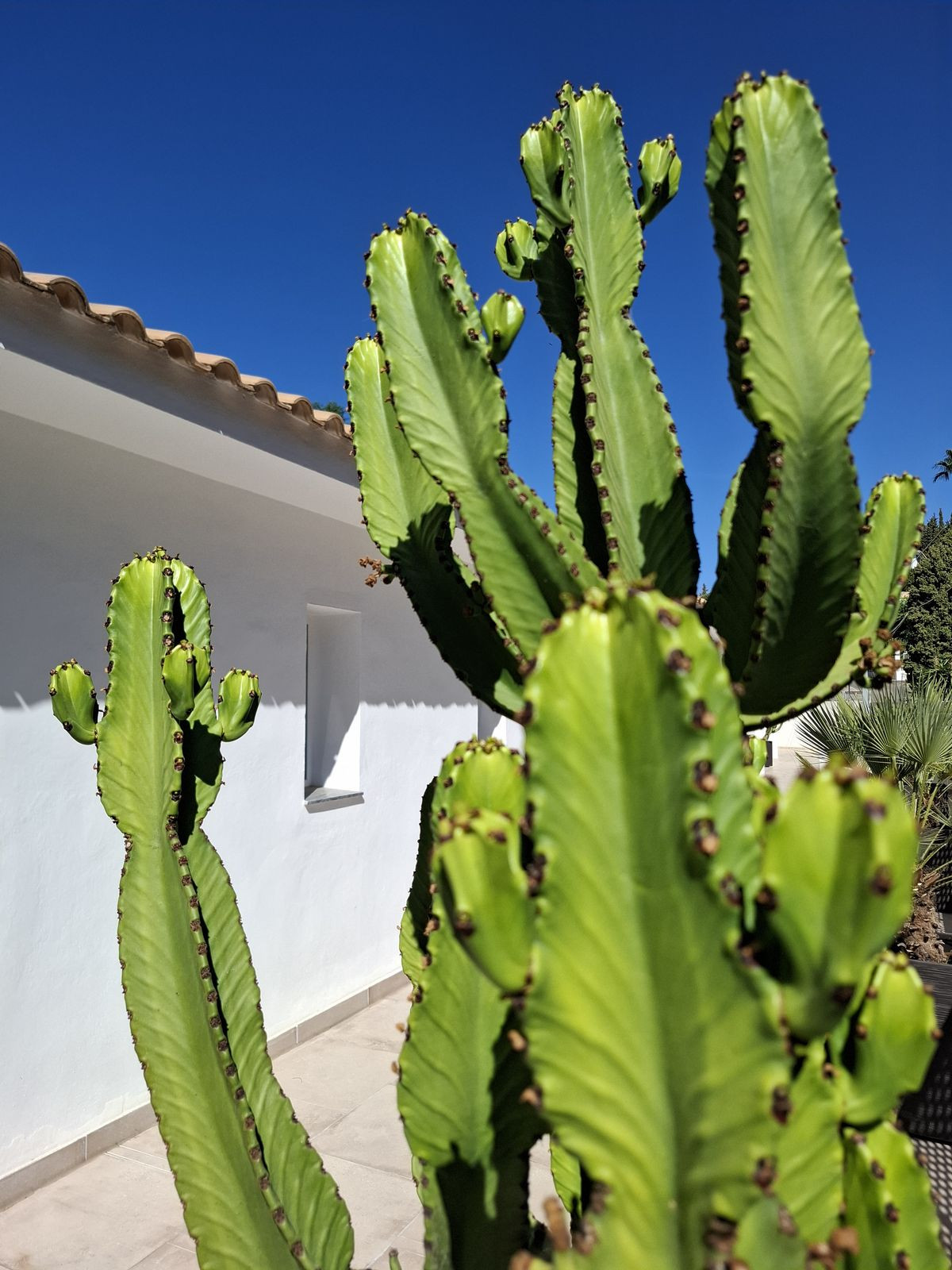 Property main view 60