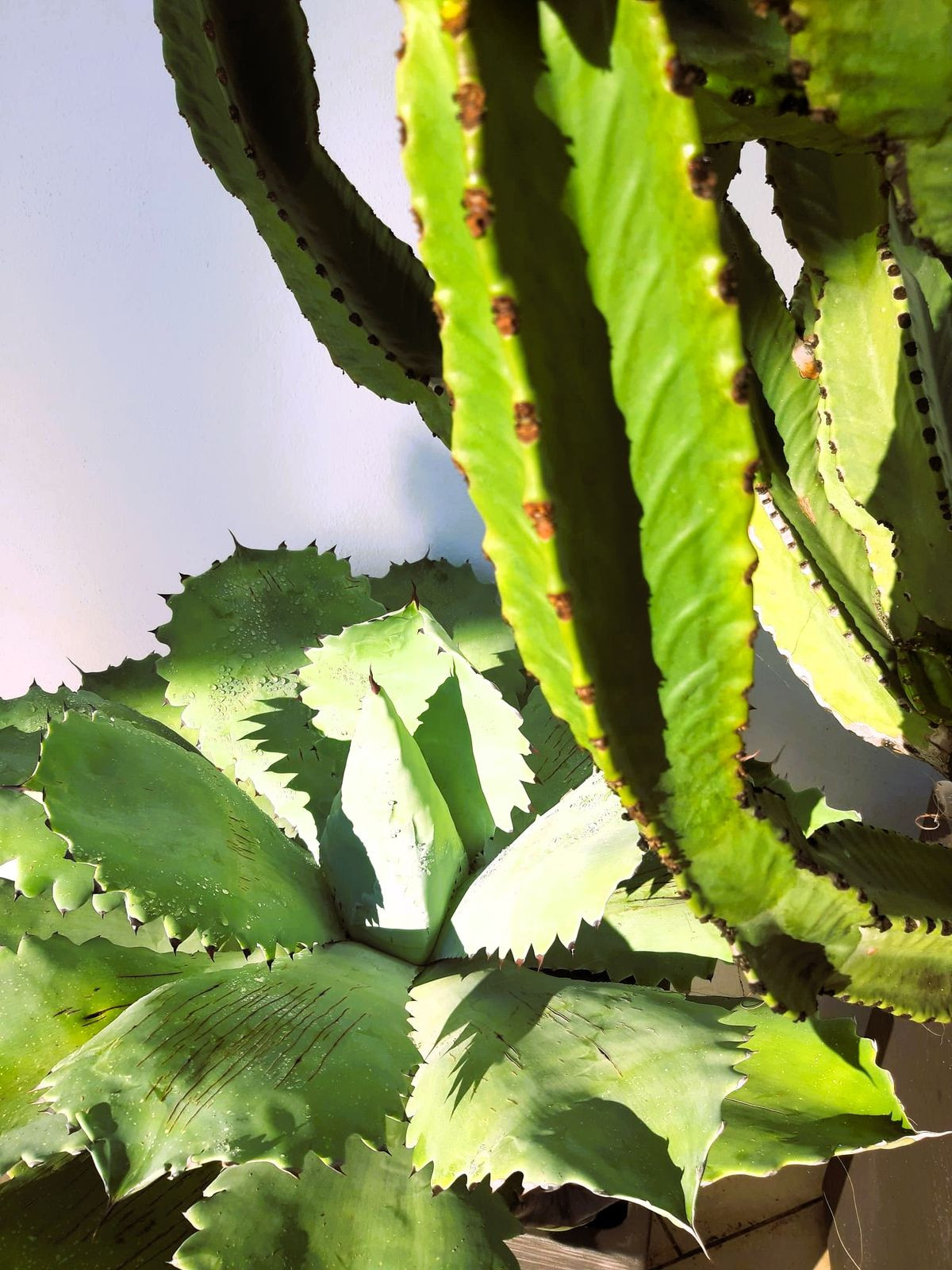 Property main view 65