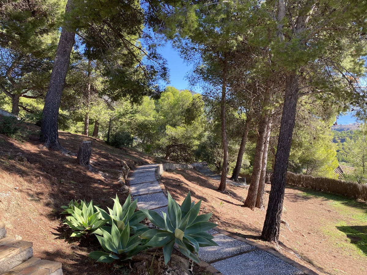 Property main view 46