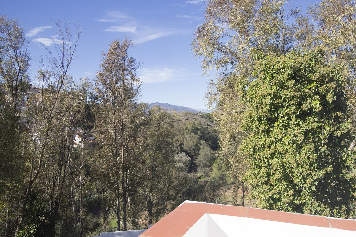 Property main view 2