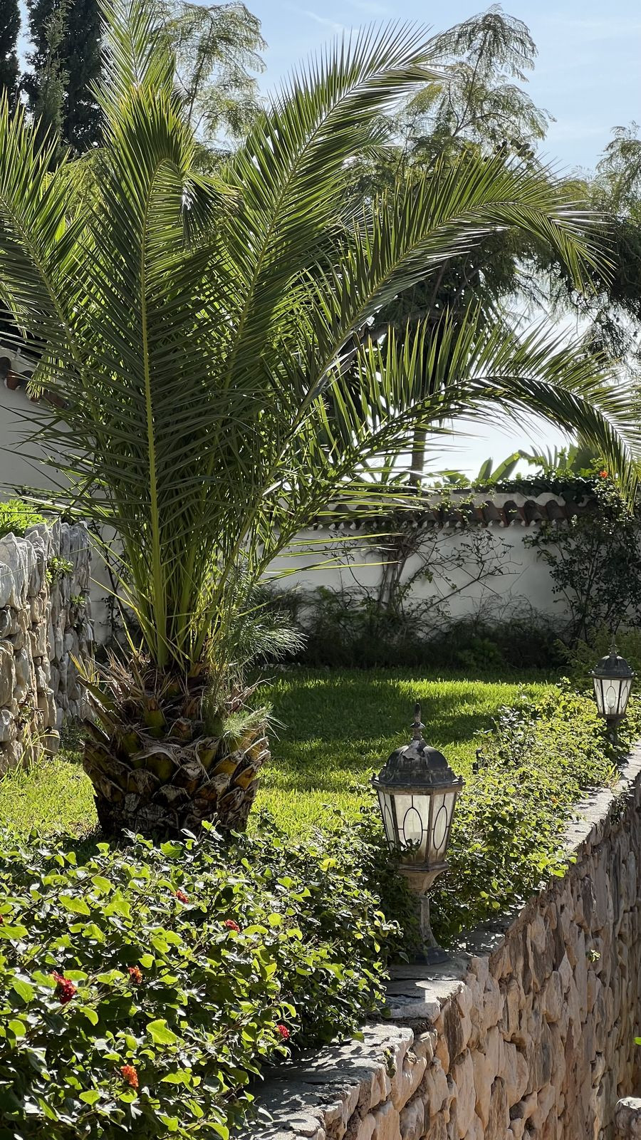 Property main view 6