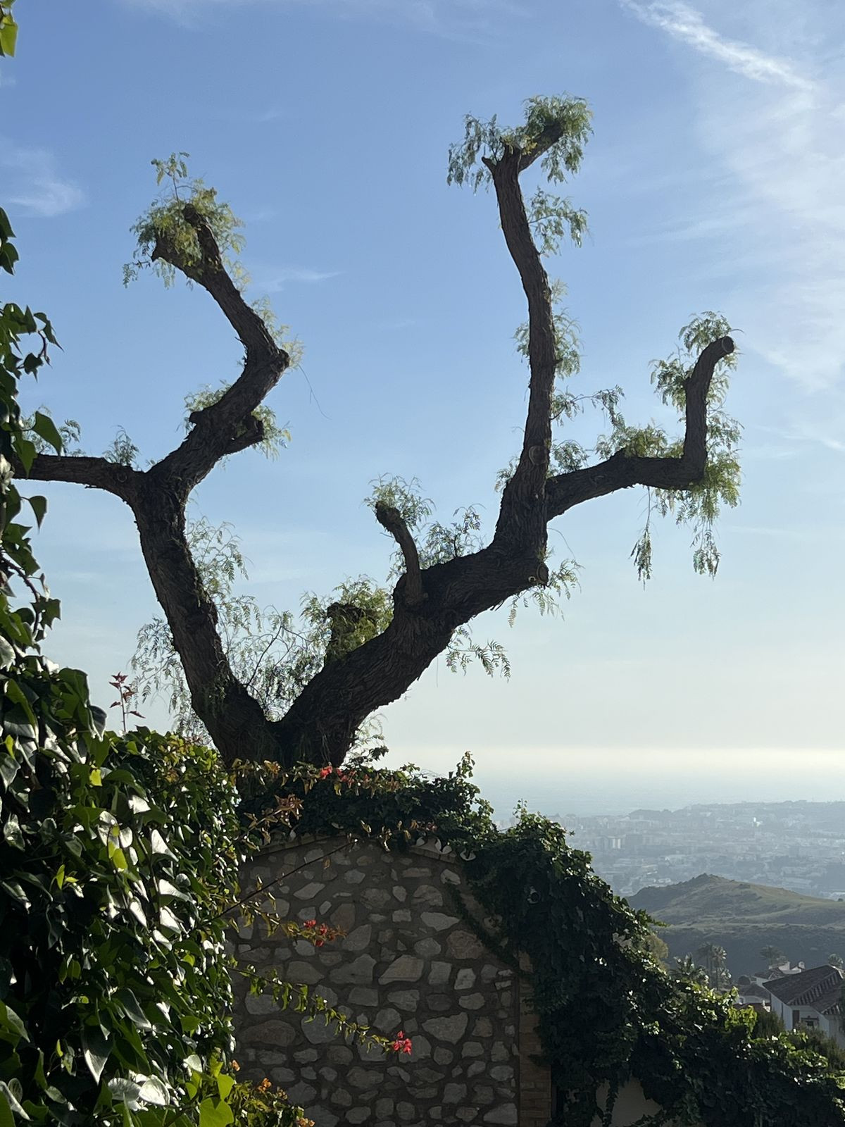 Property main view 8