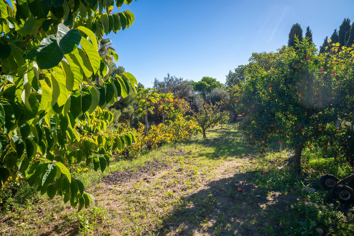 Vrijstaande Villa te koop in Mijas | 6 slaapkamers H5253331