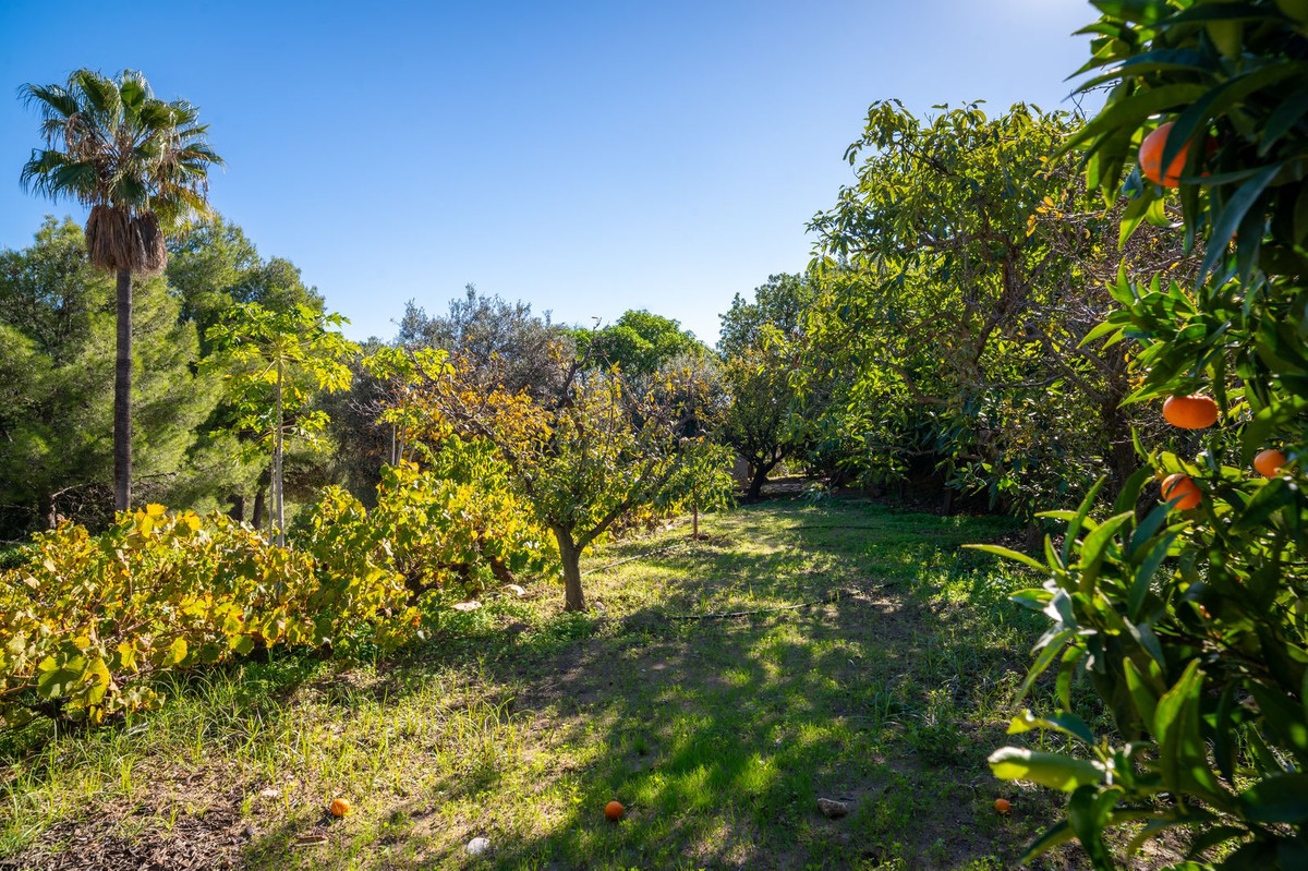 Vrijstaande Villa te koop in Mijas | 6 slaapkamers H5253331