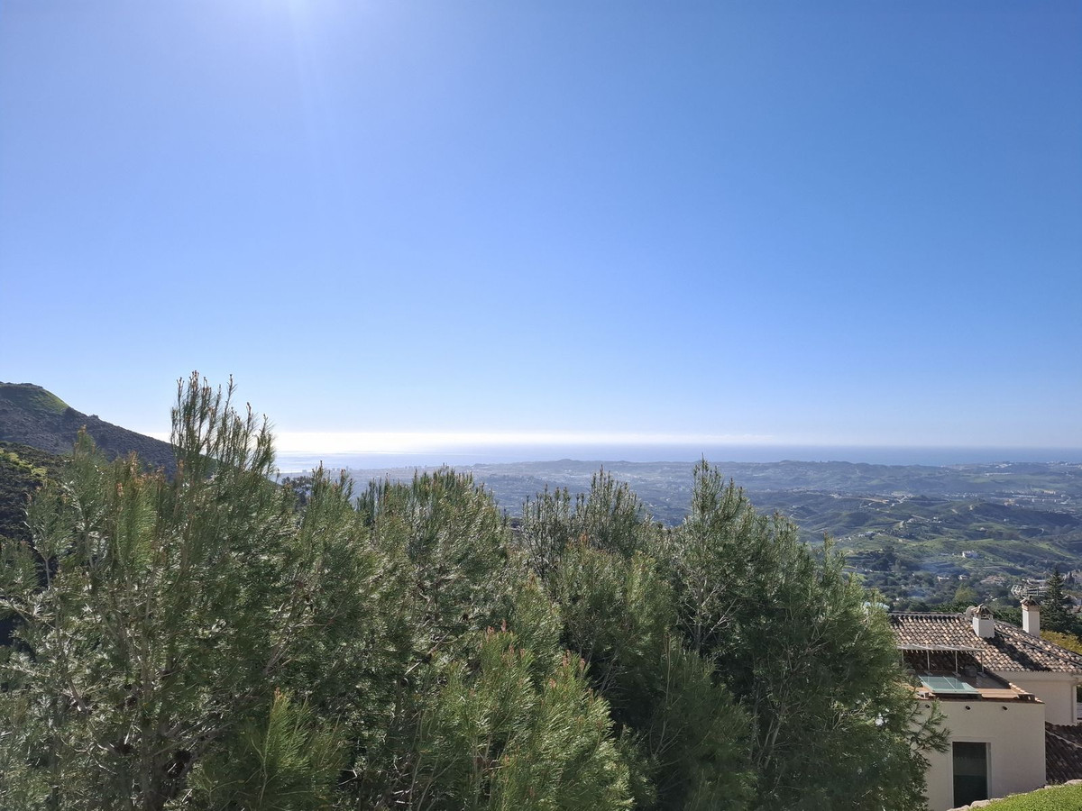 Property main view 62