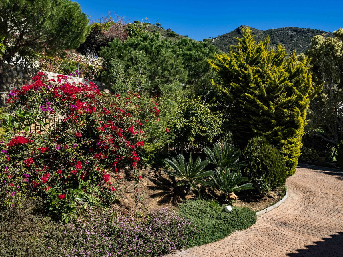 Property main view 24