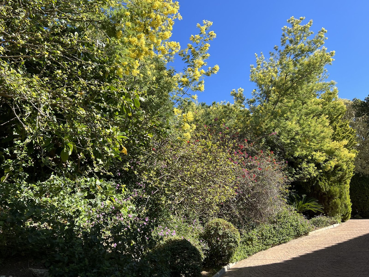 Property main view 57