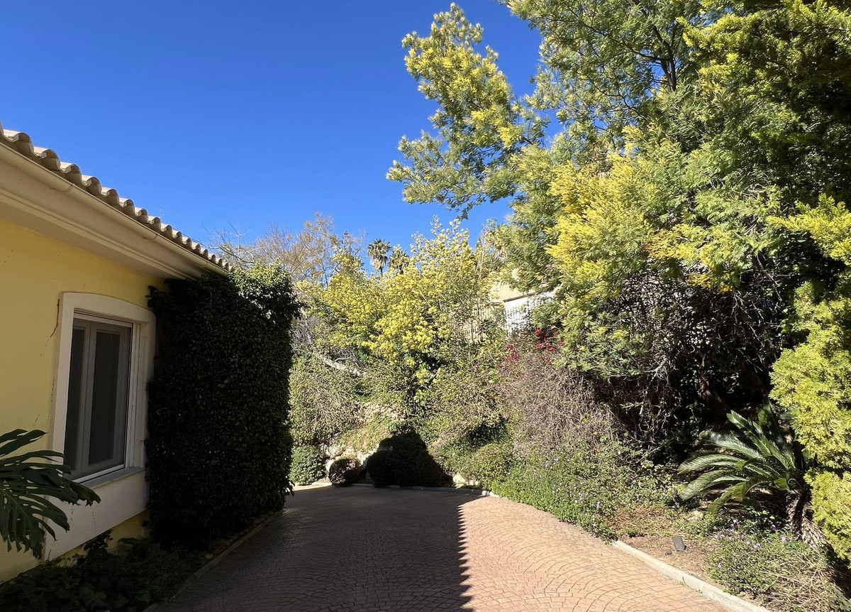 Property main view 59