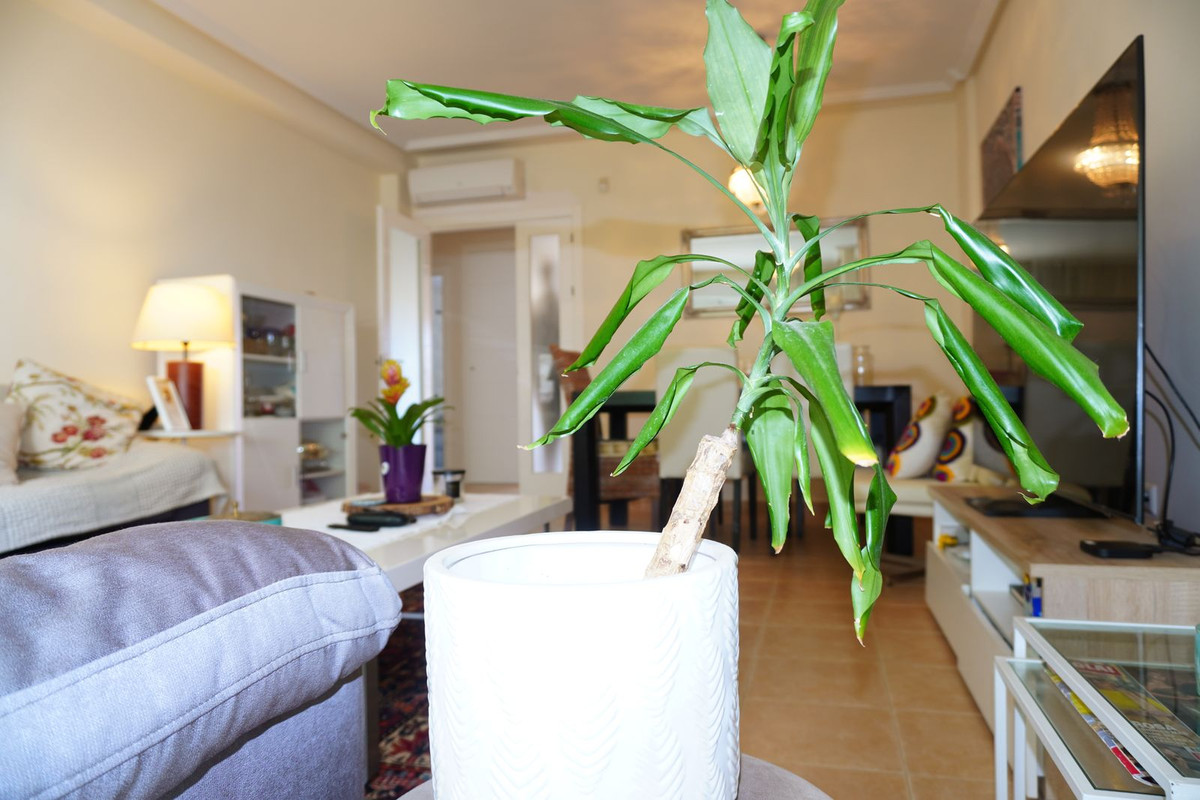 Geschakelde Woning te koop in Mijas | 4 slaapkamers H5472580