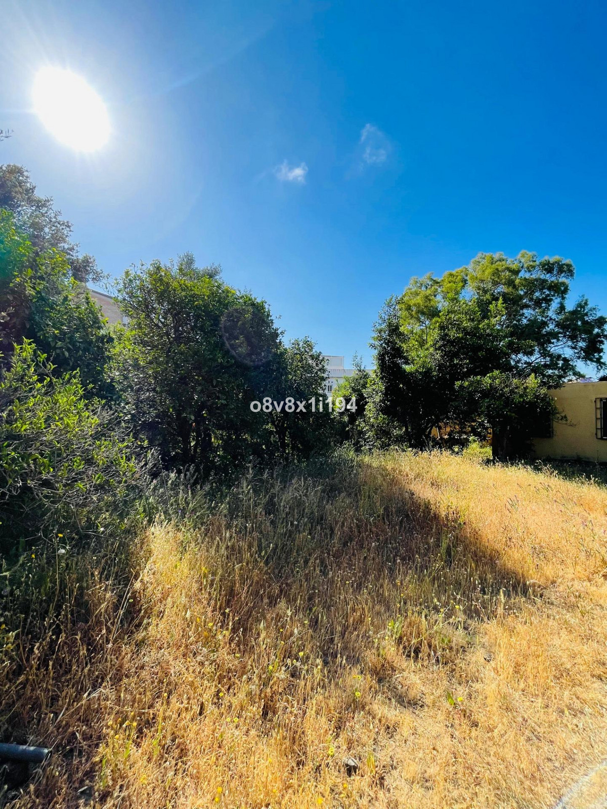 Property main view 24