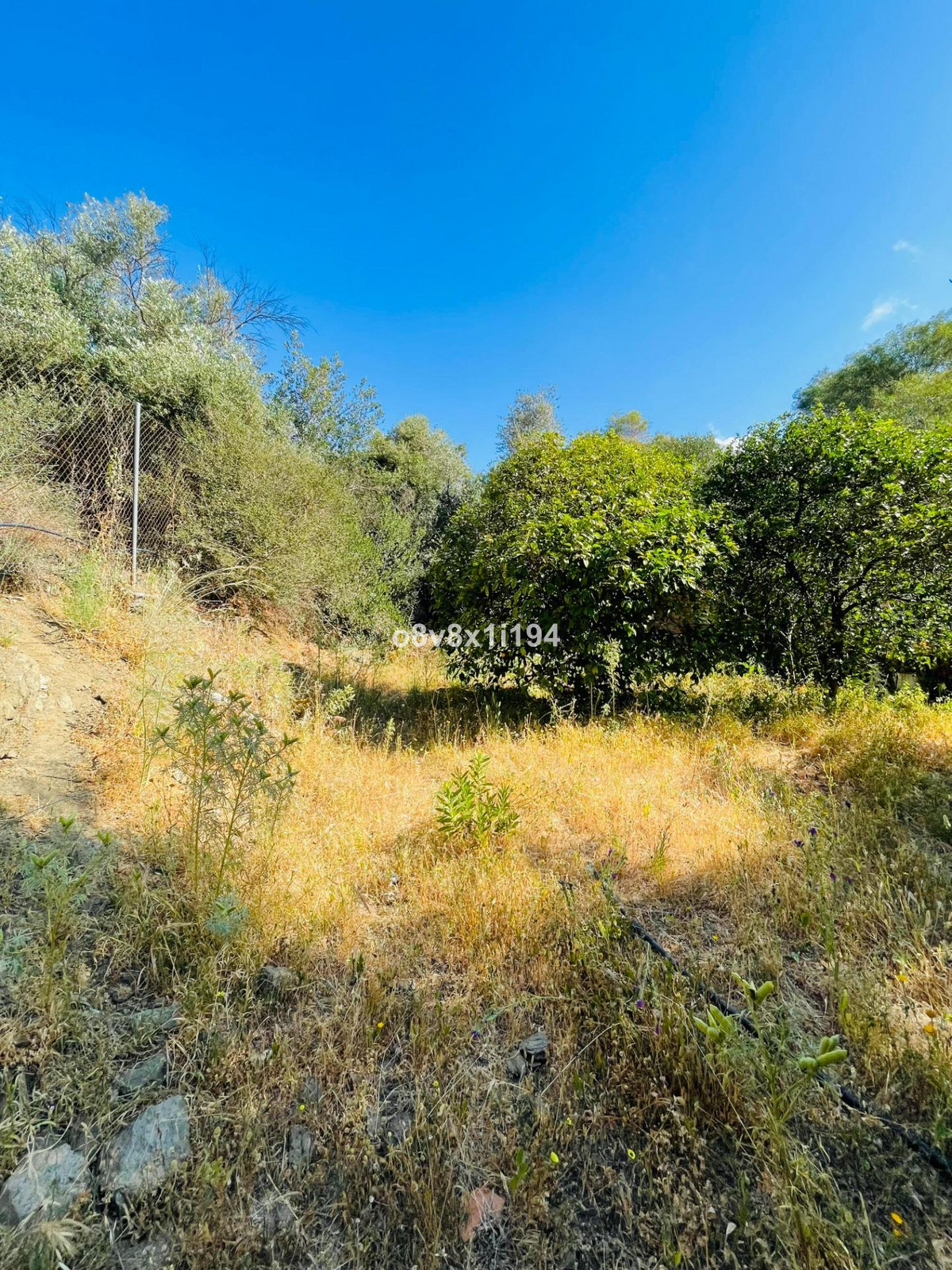 Property main view 27