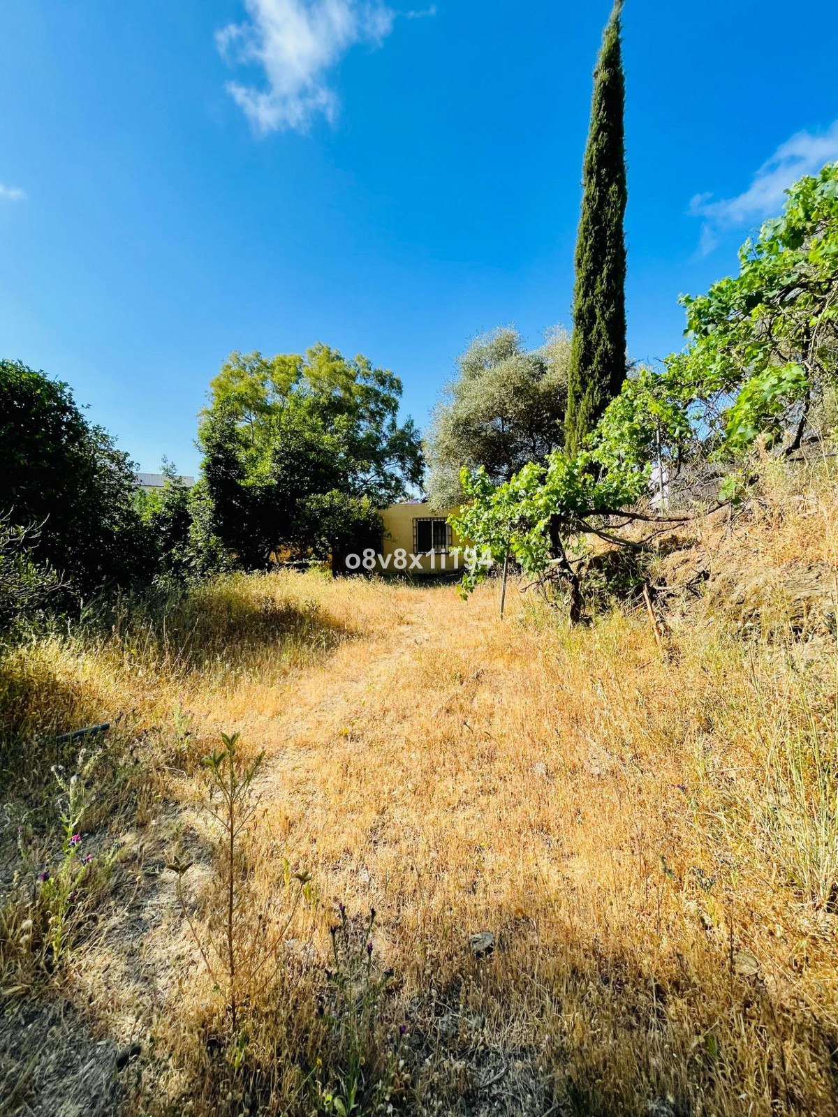 Property main view 32