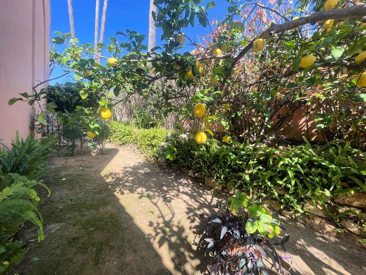 Property main view 7